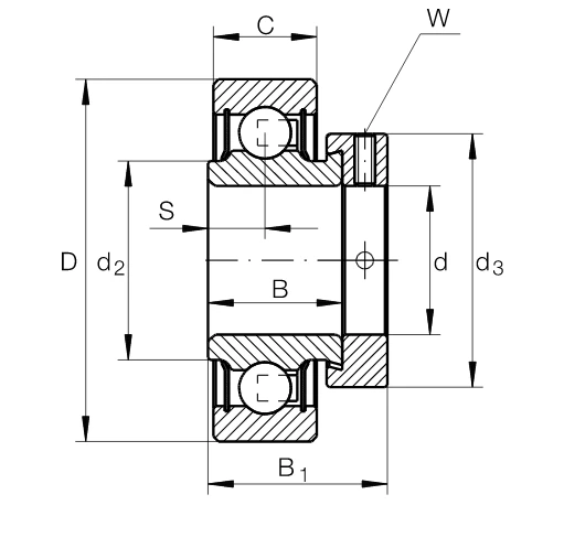 Підшипник RA108-NPP INA