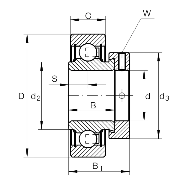 Підшипник RAE30-XL-NPP-FA106 INA